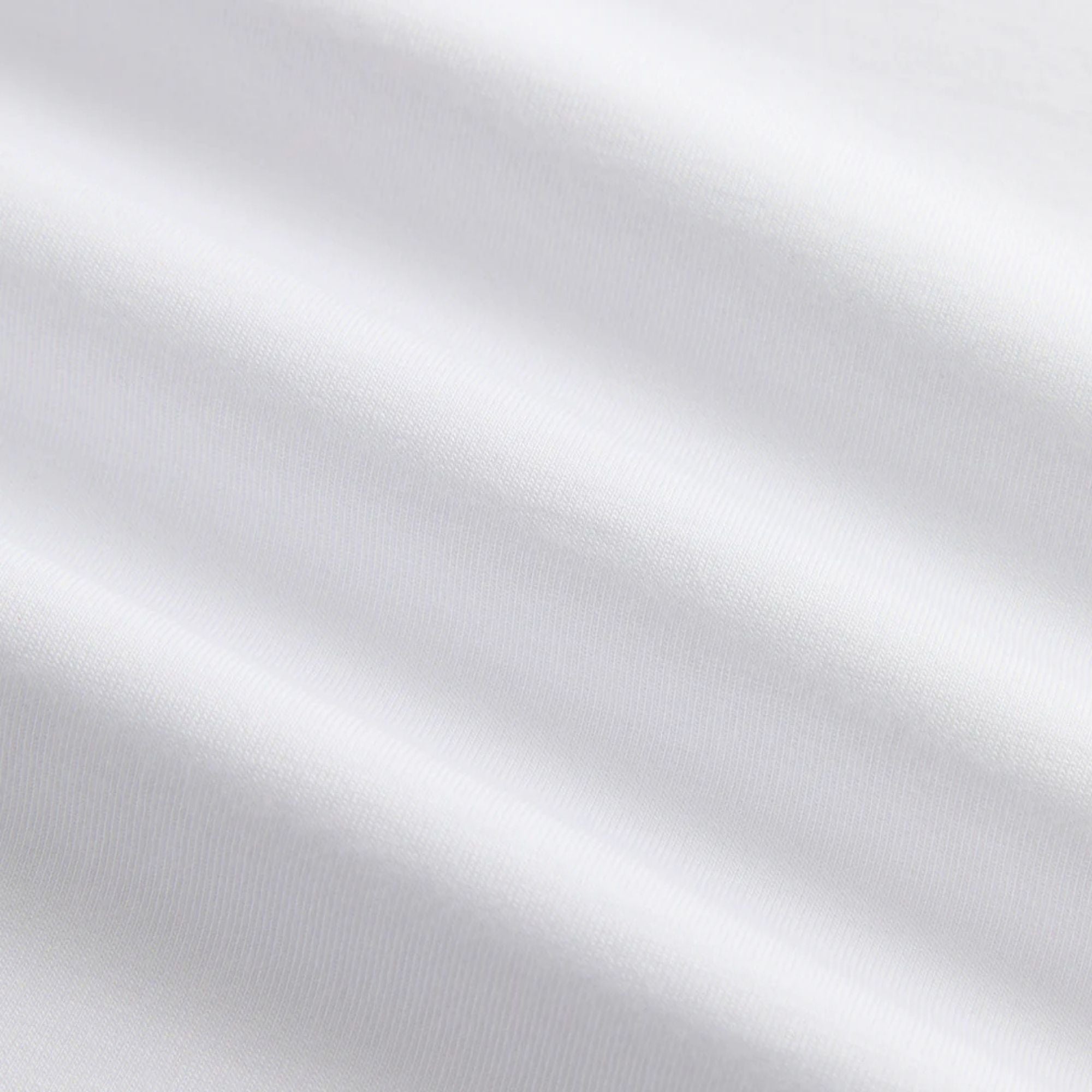 Camiseta Regular Lion Roots Branco